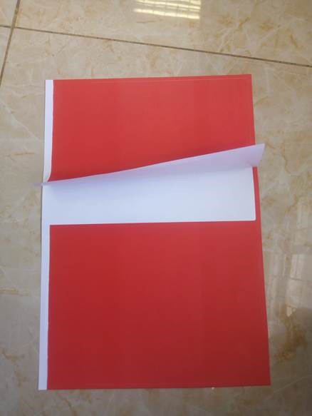 ADHESIVE LABEL 2pcs/A4, red, 100 sheet/ream