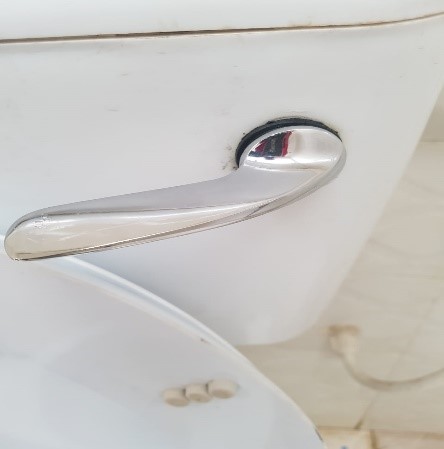 FLUSHING HANDLE