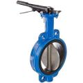 (sludge pump) BUTTERFLY VALVE flanged, 2" ND100