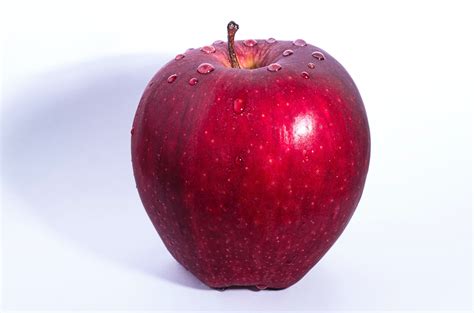 POMME frais