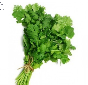 PARSLEY fresh, bunch