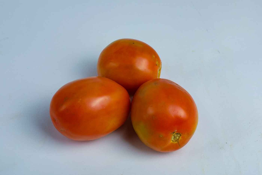 TOMATO fresh, per kg