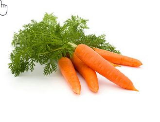 CARROT fresh, per kg