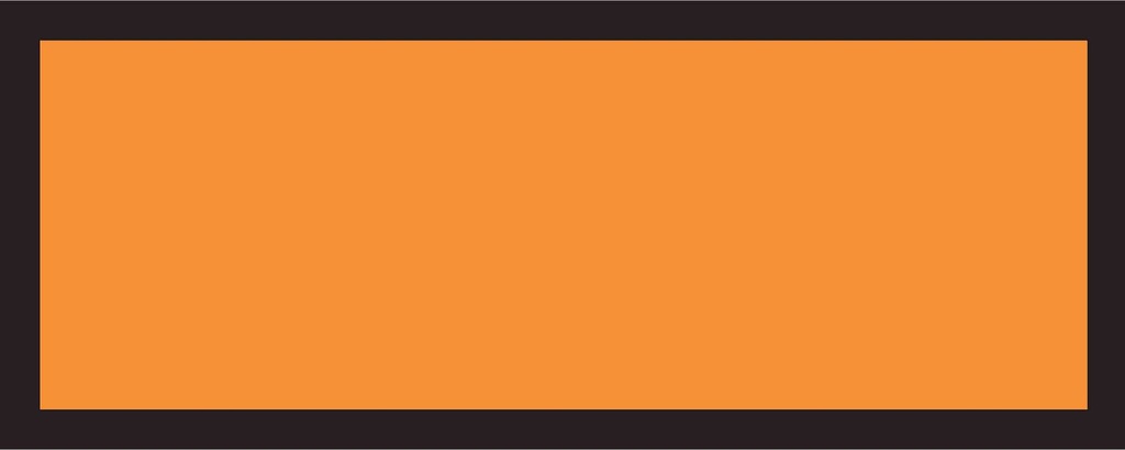 ETIQUETTE CT MER DGR, vinyl, 120x300mm, orange