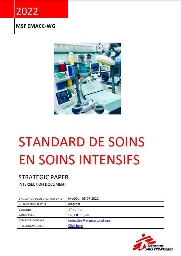 Standard de soins en soins intensifs. Document stratégique