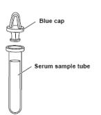 (Spotchem EZ) SAMPLE TUBE, PLAIN, with blue cap 6123