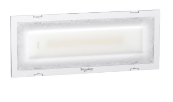 EMERGENCY LIGHT, 1.9W/1W-perm./non-perm, 250lm, IP65