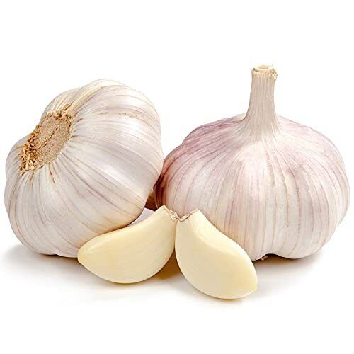 GARLIC, fresh, per kg