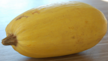 ZUCCHINI yellow, fresh, per kg