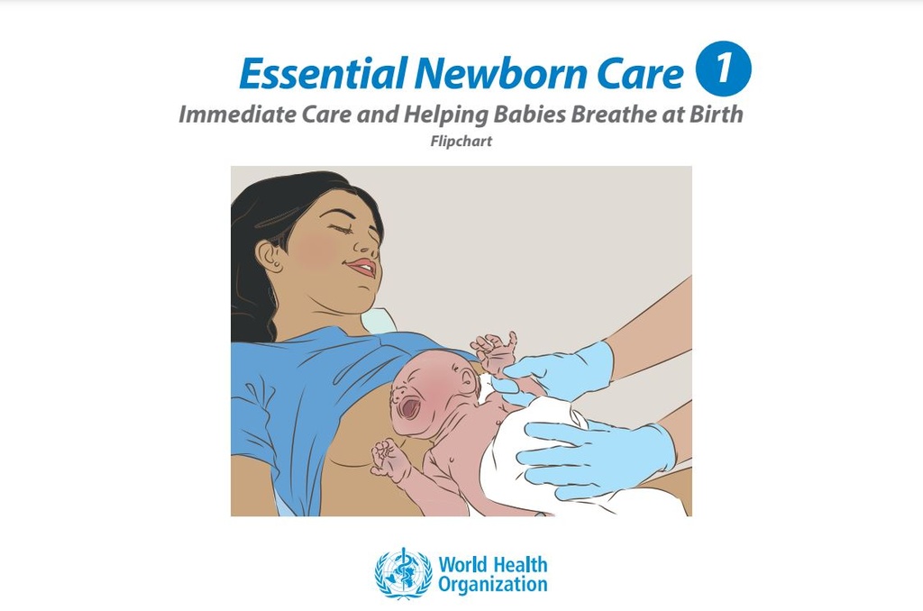 Essential newborn Care 1 Babies Flipchart