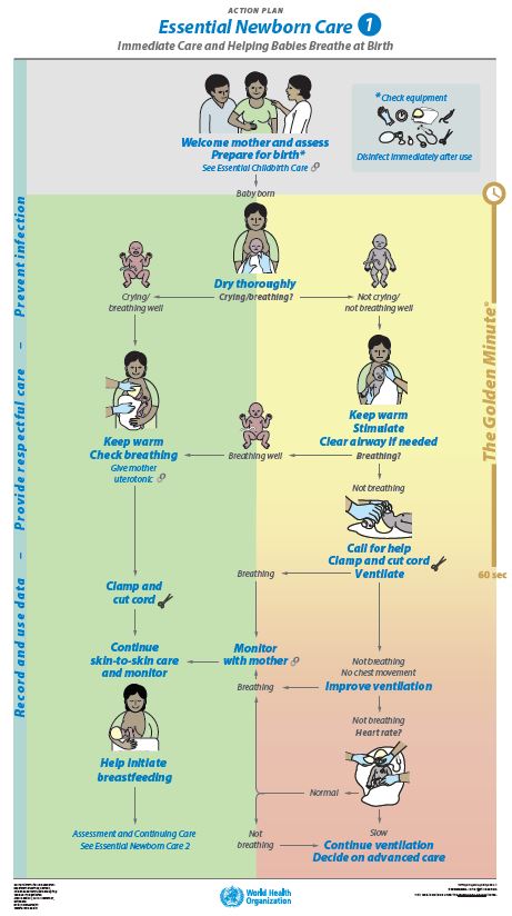 Essential newborn Care 1 Babies AP Poster