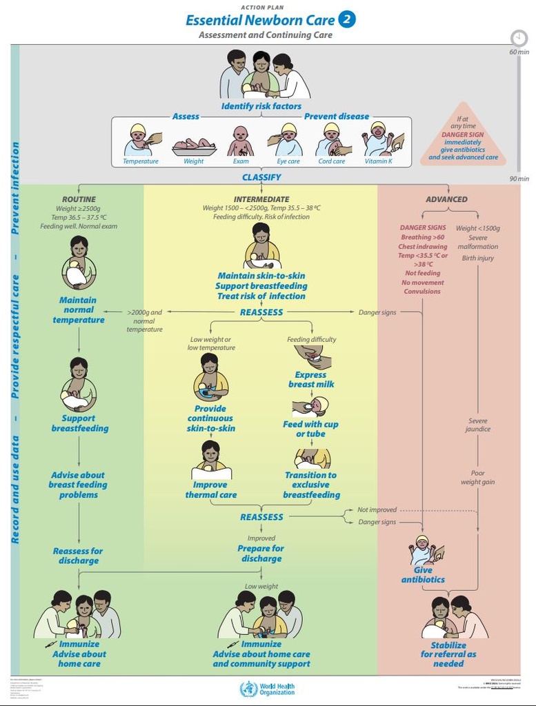ESSENTIAL NEWBORN CARE 2 Action Plan Poster English