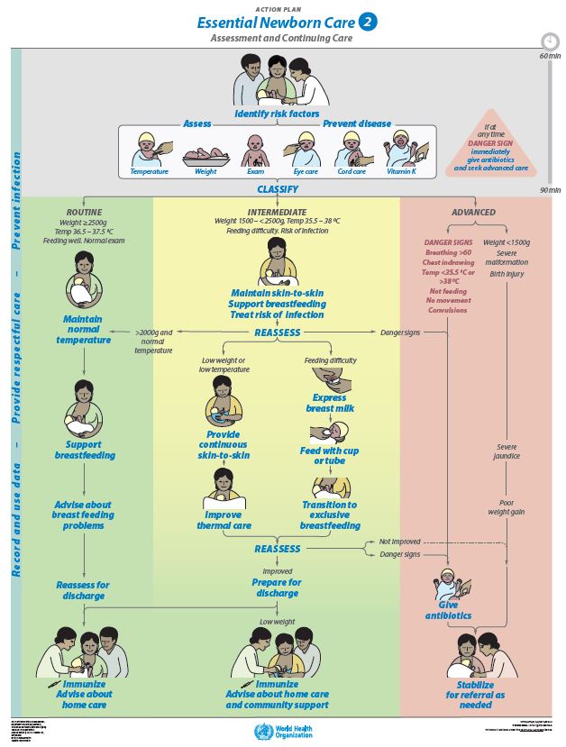 Essential newborn Care 2 Babies AP Poster