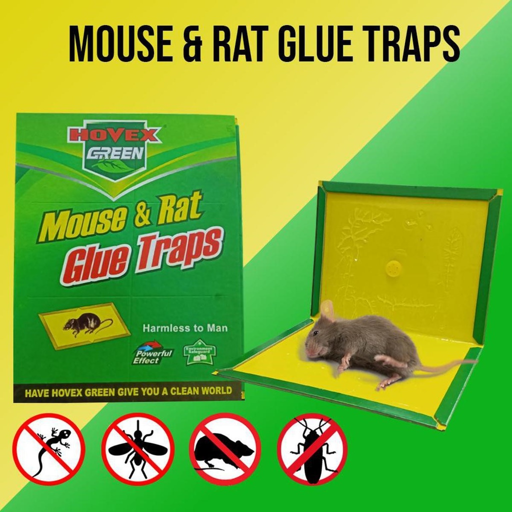 MOUSE TRAP glue board