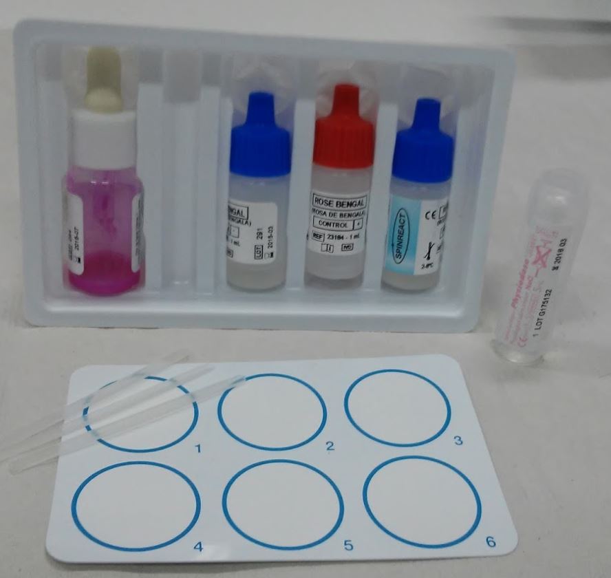 TEST BRUCELLOSIS, Rose Bengal, ser, 1t (Spinreact 1200901)