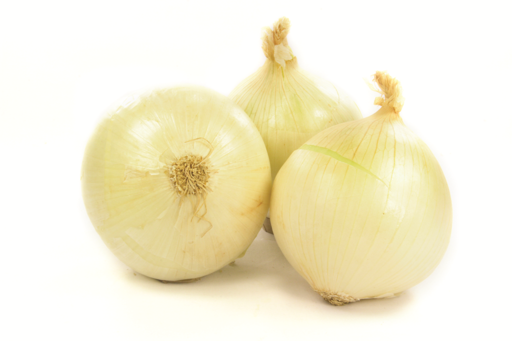 WHITE ONION fresh, per kg
