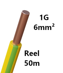 [PELECABW06RGF] WIRE rigid, copper, 6mm², green/yellow, reel of 50m