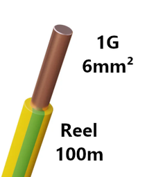 [PELECABW06RG1] WIRE rigid, copper, 6mm², green/yellow, reel of 100m