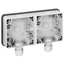 [PELETERMPCH26] BOITIER double (Legrand Plexo) hor, 2 entrées M20, IP66 gris