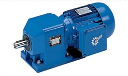 [CWATWASTH01] (Shanonn) GEAR MOTOR (SK773.1-71L/4) 0.37kW