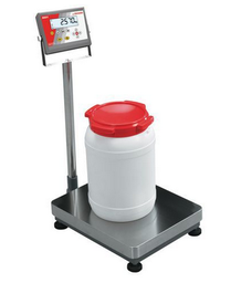 [PPACEQUISE30] SCALE electronic, stainless, 300kg/50g, platform 600x800mm