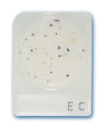 [CWATTESTW5C4] COUNTING PLATE Escherishia coli (Compact Dry EC) 40 pcs