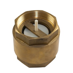 [CWATCBVANT1IF] NON-RETURN VALVE, brass, 1", FxF threaded