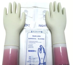 [SMSUGLOS70-] GLOVES, SURGICAL, latex, s.u., sterile, pair, 7
