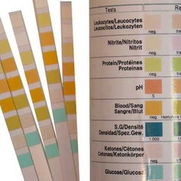 [SSDTURIS8--] URINE TEST, pH,bili,prot,gluc,ket,blood,nit,leuc, 1 strip