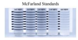[SBIDAPISMFSD] MC FARLAND STD TURBIDITE 0.5–4MF,BaSO4,D18mm kit [BMX-70900]