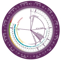 [SMSUPRWH1F-] ROUE DE GROSSESSE, carton, français