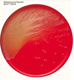 [SBCMAGARCNABD] COLUMBIA CNA AGAR, dehydrated, 500g [BD-212104]