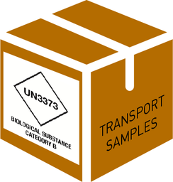 [KMEDMLAB1201A] (lab module) TRANSPORT MEDIUM FOR CSF normal 2019