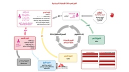 [SMSTCMCI07A] CARTE, TRIAGE AFFLUX MASSIF ALGORITHME, arabe, A4, r/v