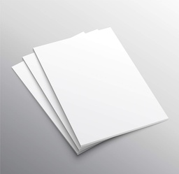 [ASTAPAPE4WC] PAPIER certificat, A4, 160g/m², mat, blanc, feuille