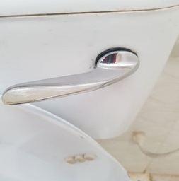 [CWATTOILFFH] FLUSHING HANDLE