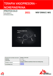 [L008ANAM13S-P] Terapia vasopresora - Protocolo de norepinefrina