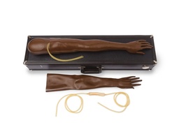 [ETMACLISIVFB] IV ARM, adult kit, female, brown (Laerdal 375-50001B)