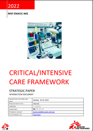 [L017ICAM05E-E] Critical/Intensive Care Framework Strategic Paper