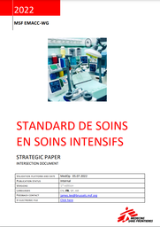 [L017ICAM05F-E] Standard de soins en soins intensifs. Document stratégique