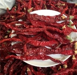 [NFOOPEPPPKDRP] SWEET PEPPER dried, red, per kg