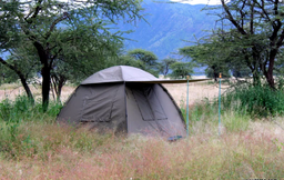[ALIFTENTD3T] TEAM TENT dome type (Tarpo, Manyatta 8) 2.4x2.4m, 2/3 pers.