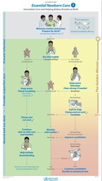 [ETPOECSB4E-P] ESSENTIAL NEWBORN CARE 1 Action Plan Poster English