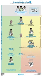 [ETPOECSB4E-P] Essential newborn Care 1 Babies AP Poster