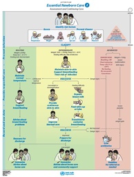 [ETPOECSB7E-P] Essential newborn Care 2 Babies AP Poster