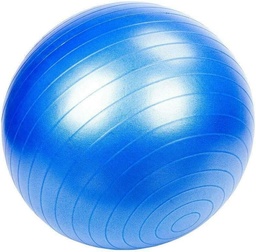 [ALIFEXCII60] BALLON DE FITNESS, Ø 60cm