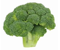 [AFOOVEGFKNL] BROCCOLI fresh, per kg