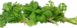 [AFOOHERBBNM] HERBS fresh, bunch