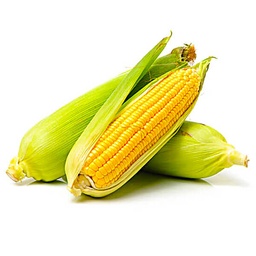 [AFOOVEGFKNZ] MAIZE CORN fresh, per kg